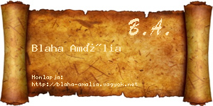 Blaha Amália névjegykártya